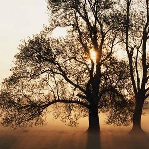 Meet your Posher, Katrina